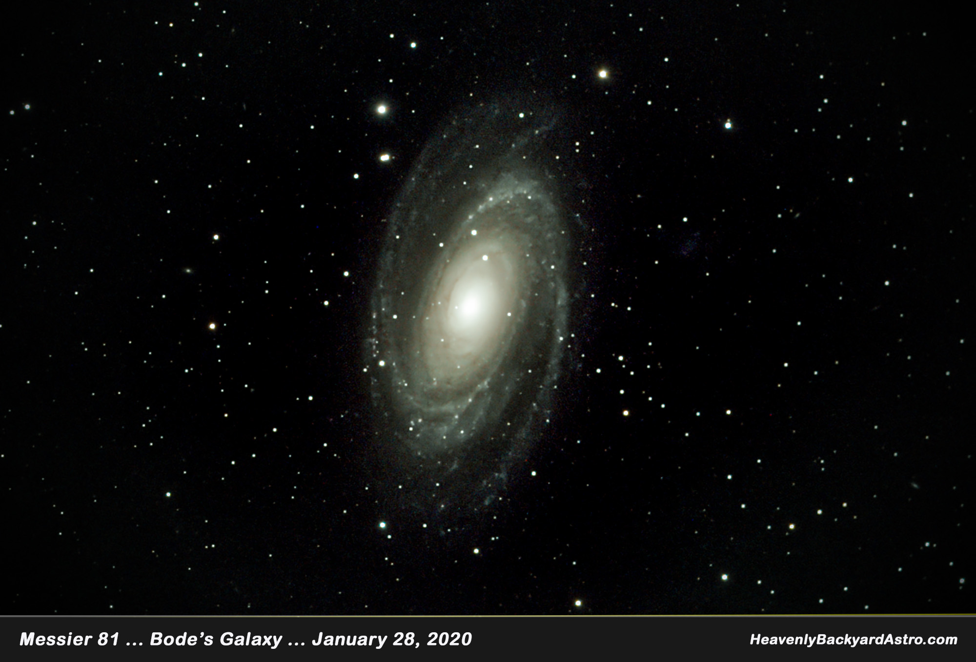 Bode's Galaxy, Jan 28, 2020  ... Click on image for larger view