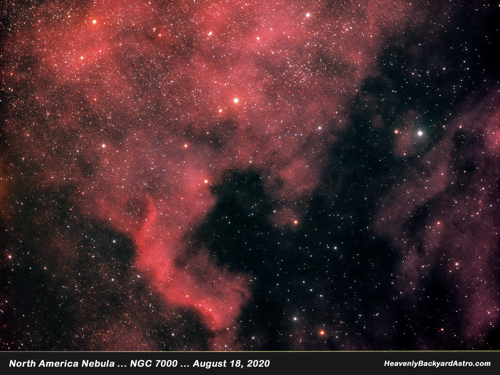 The North America Nebula ... NGC 7000, in standard RGB format  ... Click on image for larger view