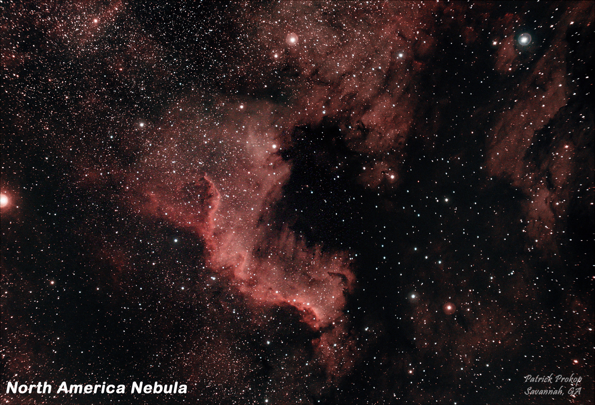 North America Nebula from Pat Prokop's Heavenly Backyard